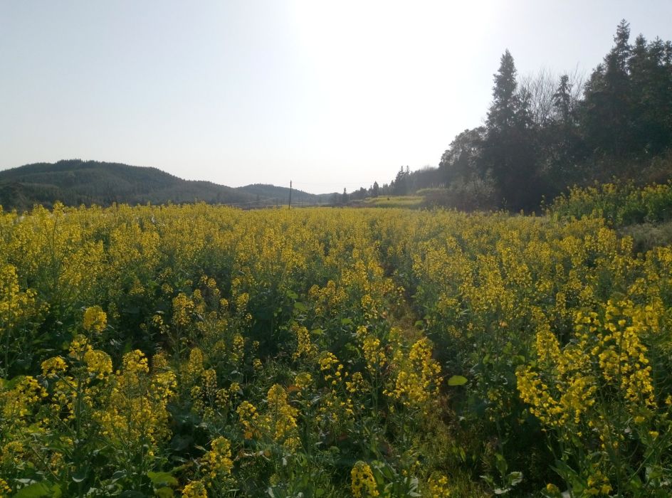 馬南坊村 馬南坊村