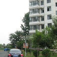 北東村(河南省桐柏縣平氏鎮北東村下轄村) 北東村(河南省桐柏縣平氏鎮北東村下轄村)