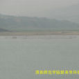 沋河 沋河