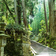 高野山 高野山