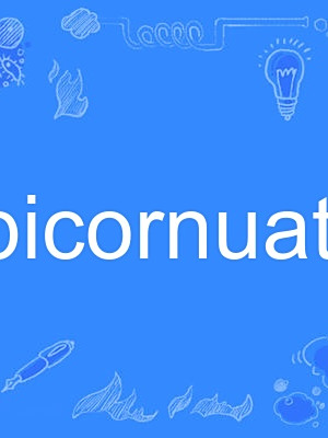 bicornuate