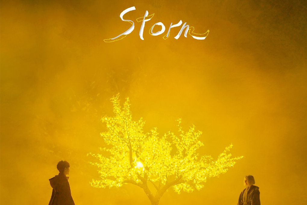 Storm(吳青峰與AURORA演唱的歌曲) Storm(吳青峰與AURORA演唱的歌曲)