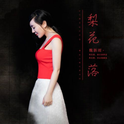 梨花落(魏新雨演唱歌曲) 梨花落(魏新雨演唱歌曲)