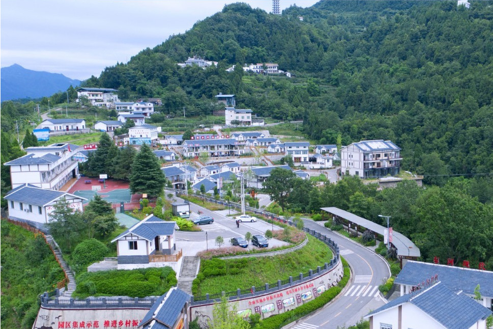 南鳳村(四川省廣元市旺蒼縣東河鎮下轄村)