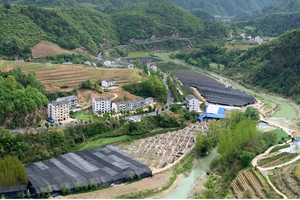 北星河 北星河