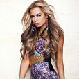 havana brown havana brown