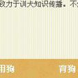 訓狗網 訓狗網