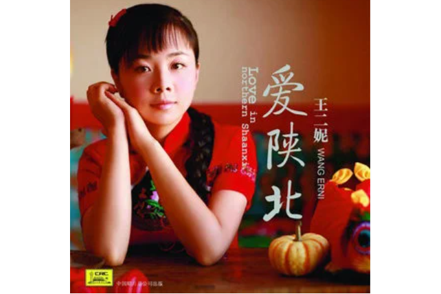 趕牲靈(王二妮《愛陝北》專輯中的歌曲) 趕牲靈(王二妮《愛陝北》專輯中的歌曲)