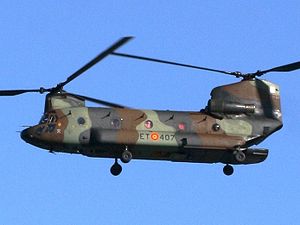 一架西班牙陸軍的CH-47D