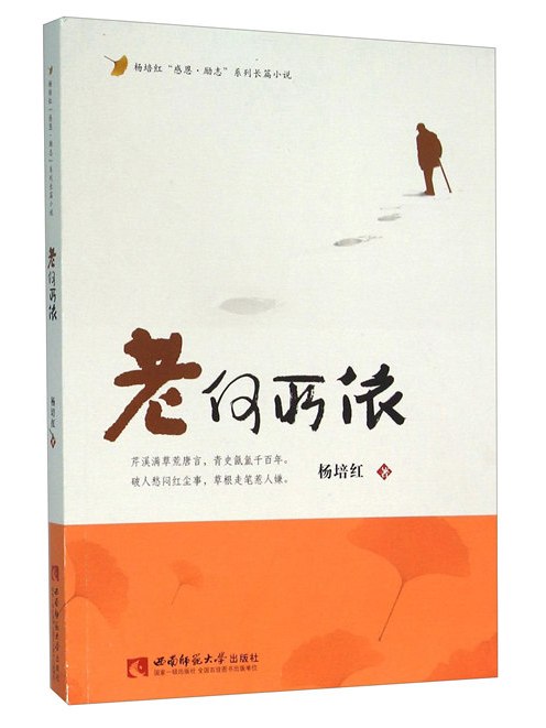老何所依(2016年1月西南師範大學出版社出版的圖書) 老何所依(2016年1月西南師範大學出版社出版的圖書)