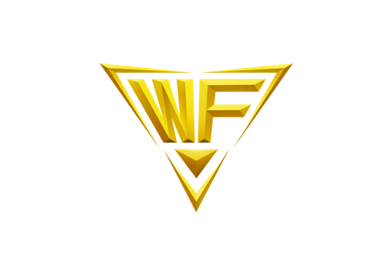 WEFUN電子競技俱樂部(WEFUN戰隊)