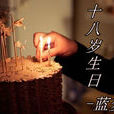 十八歲生日(藍夢凌演唱歌曲) 十八歲生日(藍夢凌演唱歌曲)