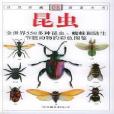 昆蟲：全世界550多種昆蟲、蜘蛛和陸生節肢動物的彩色圖鑑