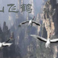 群山飛鶴 群山飛鶴
