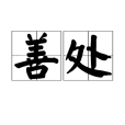 善處 善處