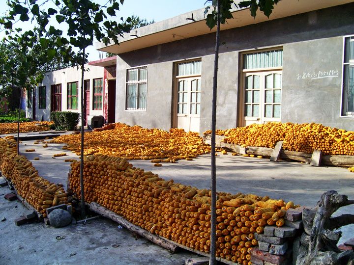 小黑鋪村 小黑鋪村