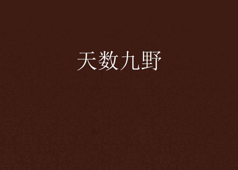 天數九野 天數九野