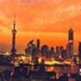上海新景 上海新景