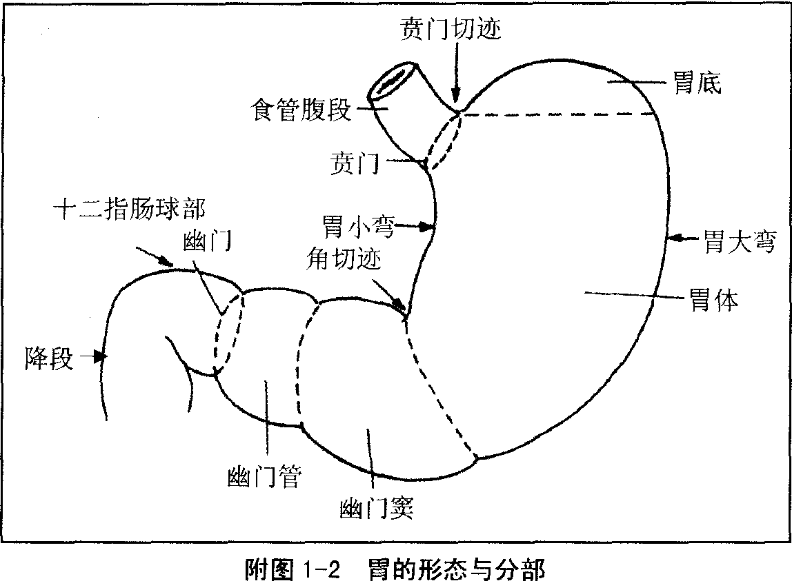 消化病學