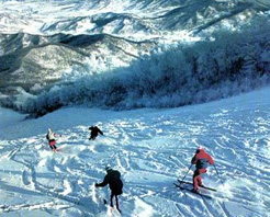 朱雀山滑雪場