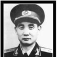 何政文(中國共產黨第十一次全國代表大會代表) 何政文(中國共產黨第十一次全國代表大會代表)