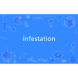 infestation infestation