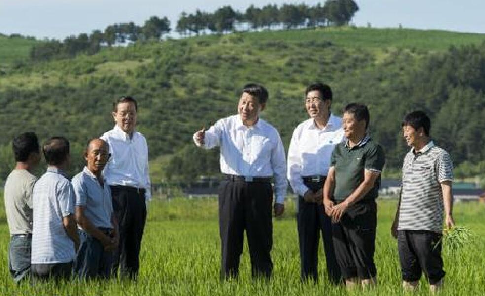 中國農民豐收節