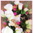 龍膽花開 龍膽花開