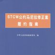 STCW公約馬尼拉修正案過渡規定實施辦法