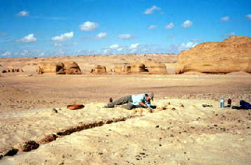 埃及鯨之谷沙漠