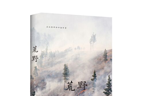 荒野(2019年文化發展出版社出版的圖書) 荒野(2019年文化發展出版社出版的圖書)