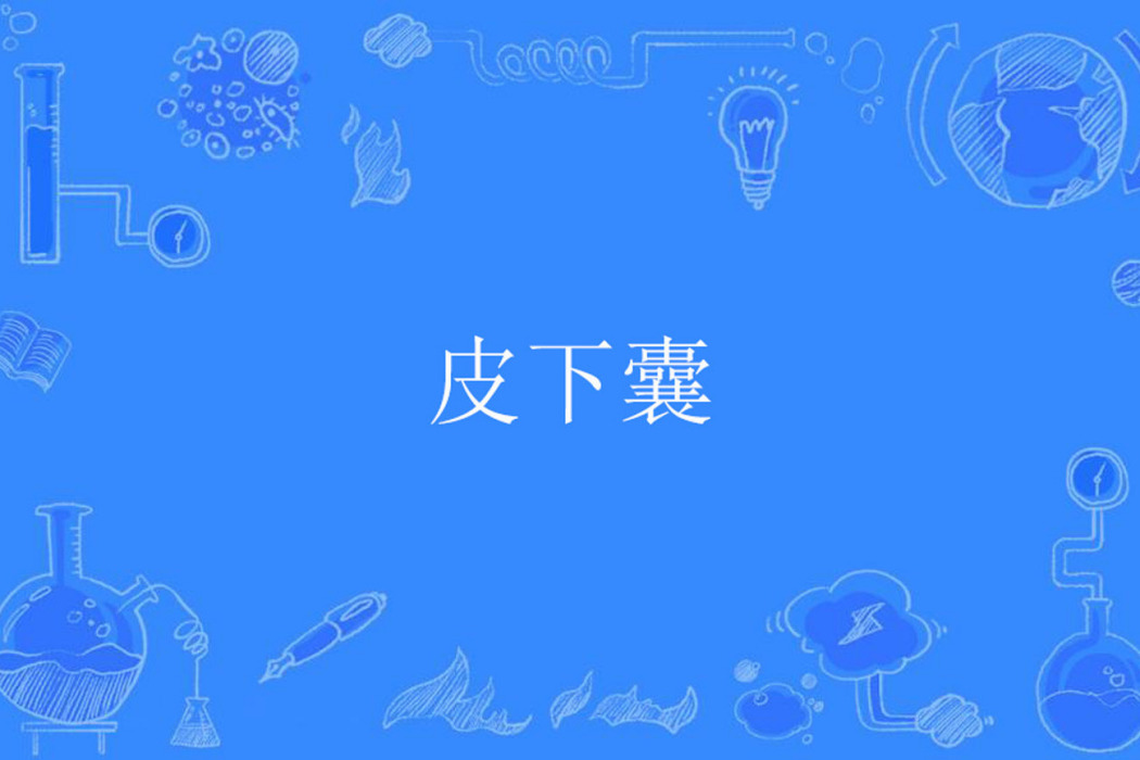 皮下囊 皮下囊