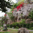 掛榜山(位於桂花鎮桂花村) 掛榜山(位於桂花鎮桂花村)