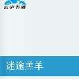 奇雙戀 奇雙戀