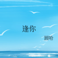 逢你 逢你