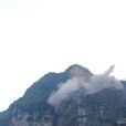 崩塌