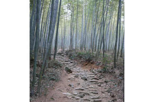 樓下廟基 樓下廟基