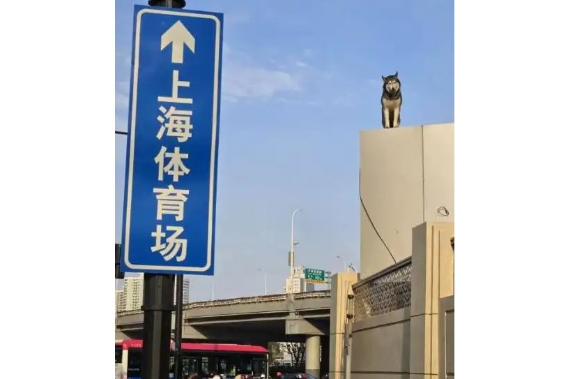 L先生 L先生