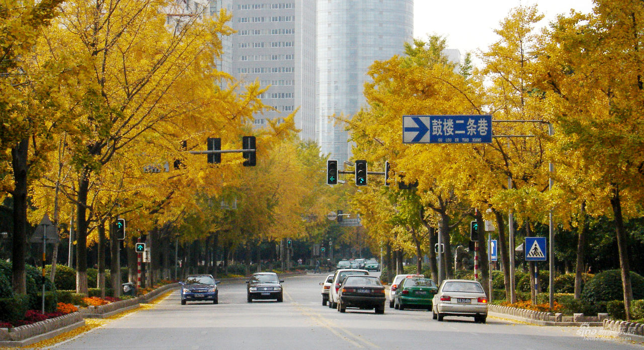 秋季的北京西路