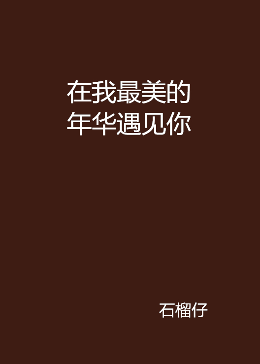 在我最美的年華遇見你(石榴仔創作的小說)