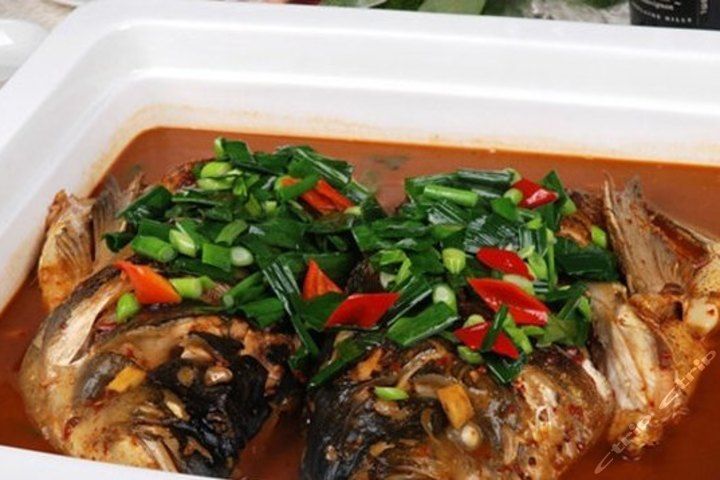 將軍魚頭 將軍魚頭
