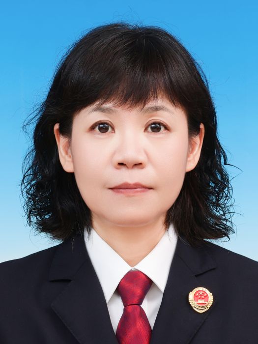 朱雪梅(四川省成都市人民檢察院副檢察長) 朱雪梅(四川省成都市人民檢察院副檢察長)