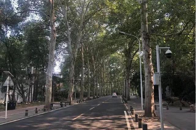 松柏大街