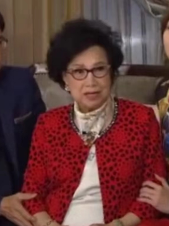 許寶芸琴 許寶芸琴