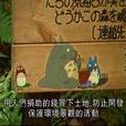 龍貓森林 龍貓森林