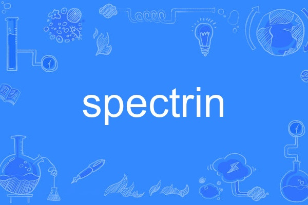 spectrin spectrin