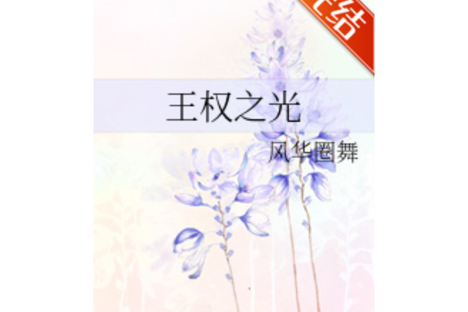王權之光 王權之光