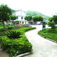 洲頭村(浙江省寧波市象山縣泗洲頭鎮下轄村) 洲頭村(浙江省寧波市象山縣泗洲頭鎮下轄村)