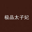 極品太子妃 極品太子妃