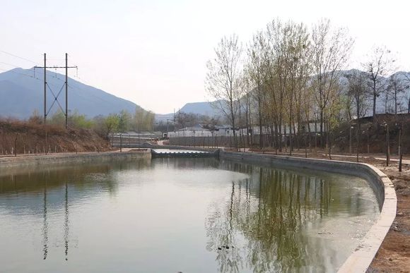 下聶莊村